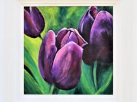 Purple Tulips