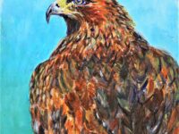 Golden Eagle